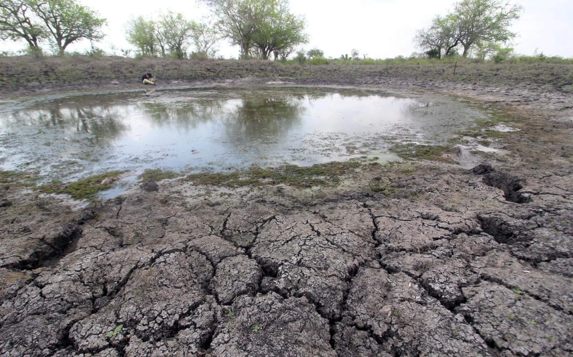 Presas de Tamaulipas y Veracruz se secan, piden plan emergente 